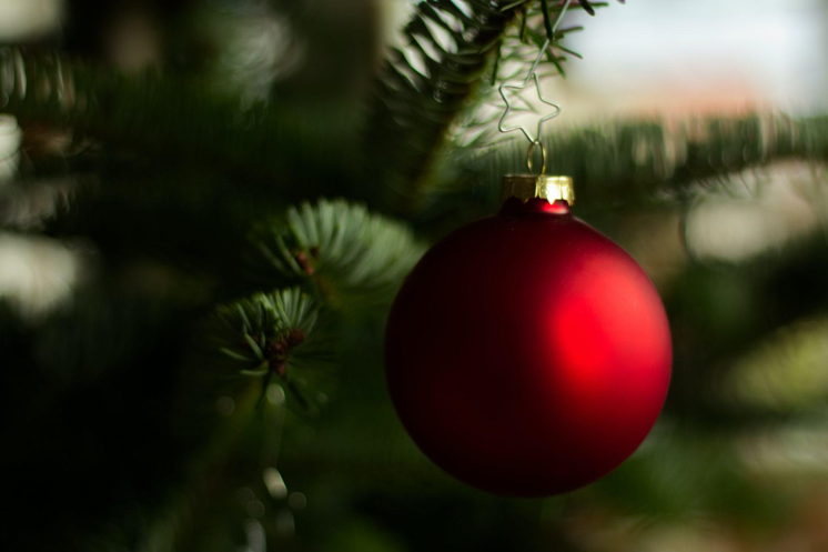 Christmas Trees for Sale in July 2024: Start Celebrating